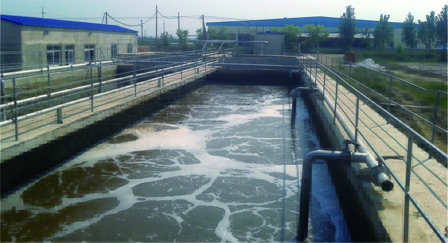 夏津秦發禽業公司污水處理站交鑰匙工程